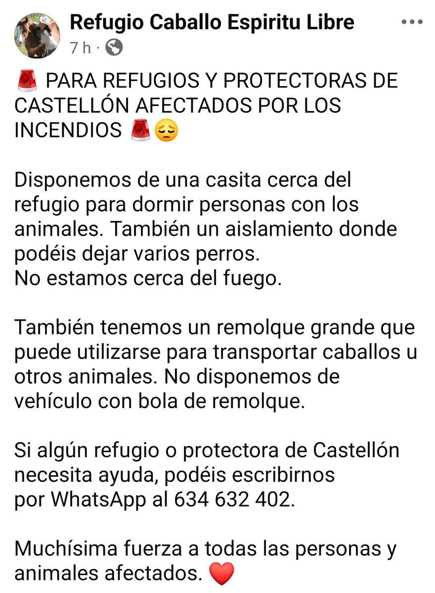 areagossosbdn's tweet photo. 🚨🚨 AYUDA SOLIDARIA 🚨🚨
Refugio Caballo Espíritu Libre pone a disposición de los animales rescatados del incendio de #LaVallDUixó #Castellón espacio y recursos para su protección♥️
Contacto en el post ⬇️ 
Máxima difusión
📣📣📣
#rescateanimales
#animalesenapuros https://t.co/JGi2GIAUfY