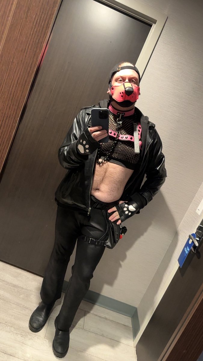 kitsu_pup's tweet photo. Always trying to look my best when going out https://t.co/9Wa8NdZSf9