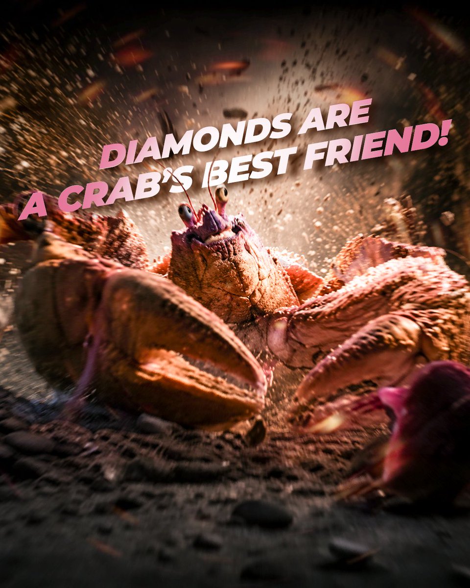 CinepolisUSA's tweet photo. Always look SHINY. ✨💎 Diamonds are a crab's best friend! Tamatoa is back and ready to steal the show in Disney's epic live-action #Moana, coming exclusively to the big screen! 🦀🍿

Lock in your updates and get your tickets right here:https://t.co/XGzeZTmK03 https://t.co/a2Ux3zFNqY