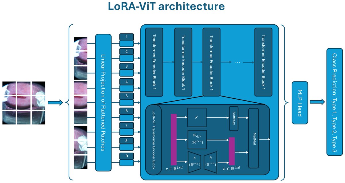 Bioeng_MDPI's tweet photo. 🔬 LoRA-ViT with just 0.15M trainable parameters outperforms ResNet, DenseNet & full ViT on cervical cancer colposcopy classification; 75%+ test accuracy, 25-epoch convergence on <800 images/class.
👉 https://t.co/lhXNBDIrxE
#CervicalCancer #VisionTransformer #MedicalImaging https://t.co/2RLzweXz2u