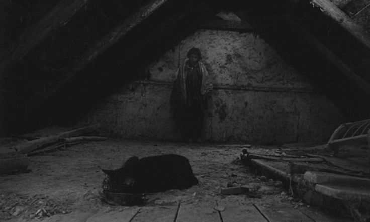 freakyfilms0's tweet photo. Satantango (1994) https://t.co/w6ZS4W5IH3