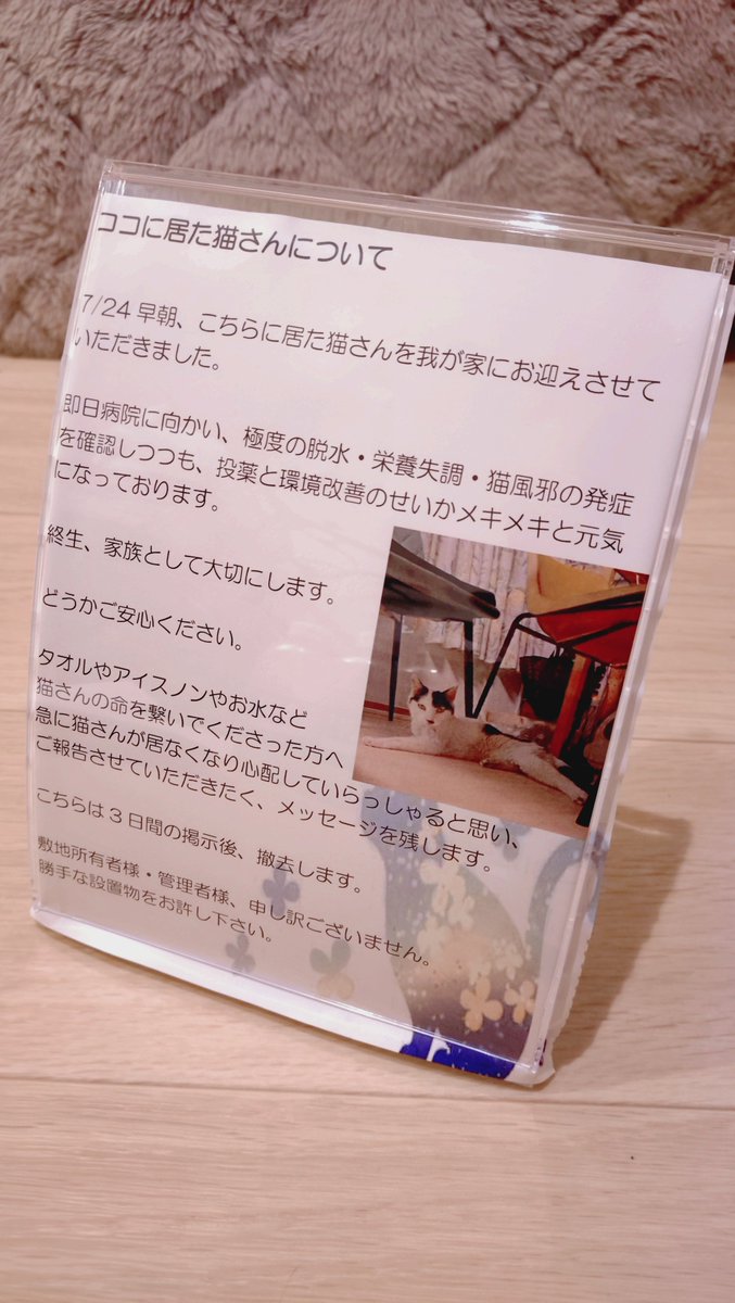 sirokuroCB's tweet photo. コモちゃんの元居た場所に、朝晩、別のお水やご飯が設置してあるのを発見…
やはり私以外にも通いの支援者がいたんですね。

こりゃ設置せねばと、サクッと簡易看板を作成しました🪧

安心してください、コモちゃんはメキメキ元気になってます(Φ ﻌ Φ) https://t.co/DgYcOU38Nh