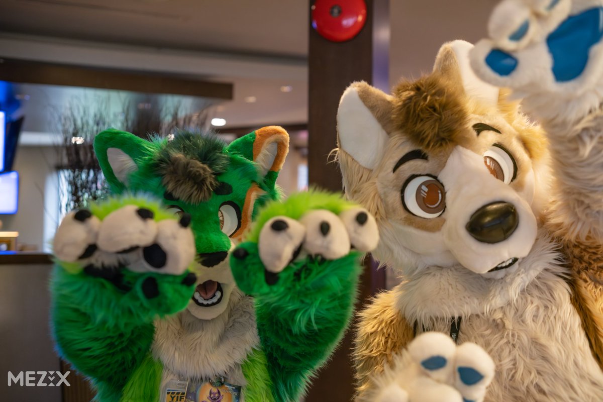 EmeraldSageCat's tweet photo. Bwah, it's been a while I hope you're all doing well.

Fur Eh was such a blast I loved the dances. I can't wait to go again next year.

📸: @MezixVR 
🐶: @Candle_Husky 

#Fursuit #furryㅤㅤㅤ https://t.co/L4N754YEHD
