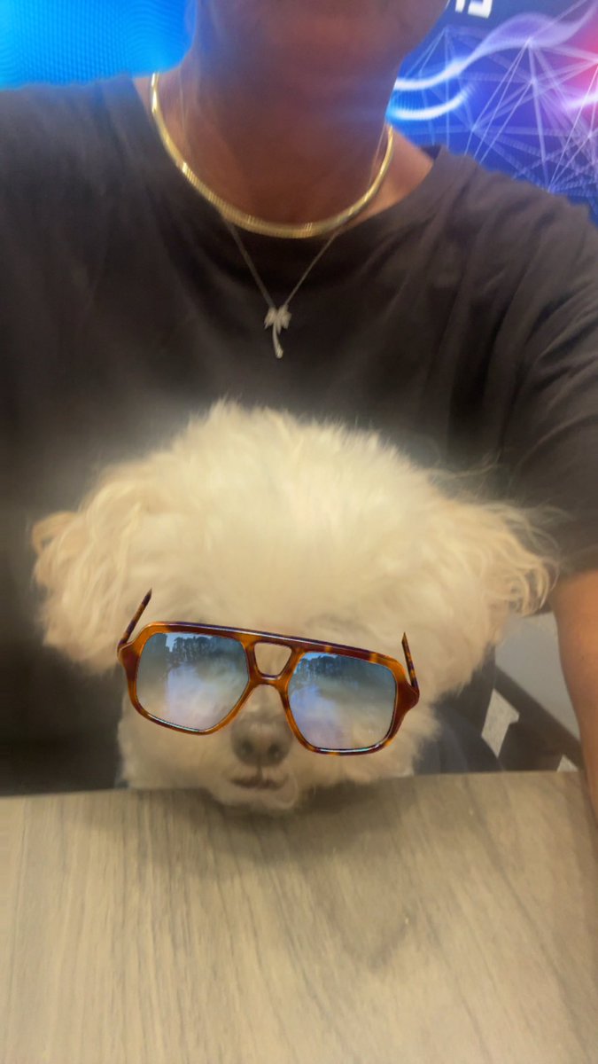kellyclapp20's tweet photo. @catturd2 Tank rocking his new shades. 😂🤷🏼‍♀️ https://t.co/tNpE3D6O8g