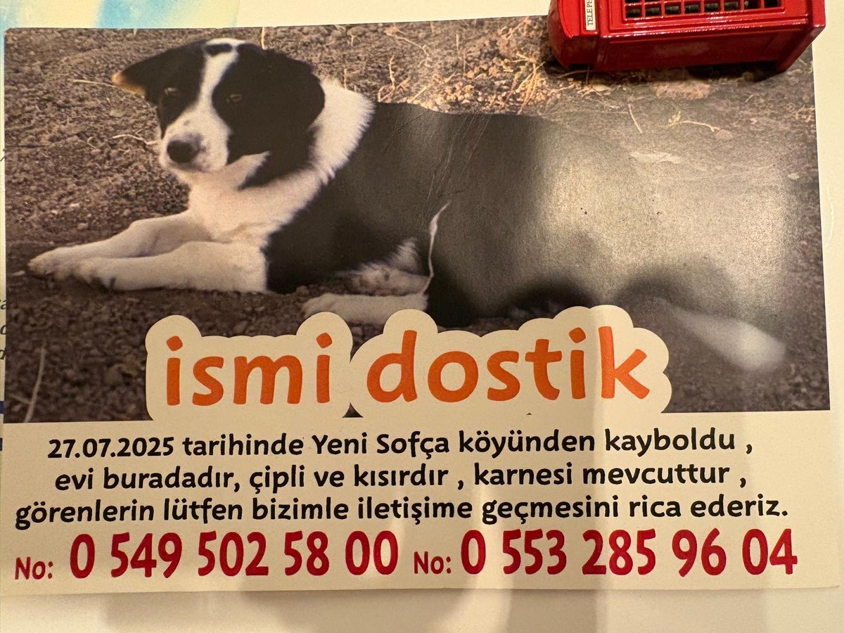 selinsrn's tweet photo. Bugün tam 1 sene oldu,elimizden gelen bir sürü şey yaptık  her şey de olduğu gibi burda da netvörkümüzyok bi ihtimal rt lütfen özlemimiz her türlü netvörkten değerli https://t.co/8nmjvFY5mI