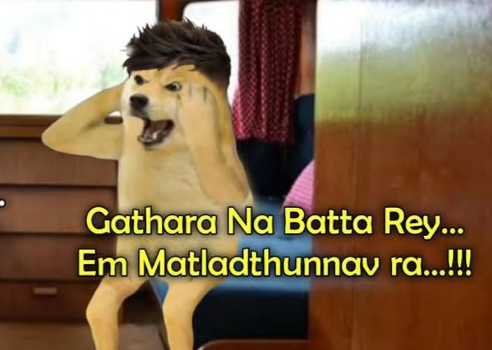 Samavarthi14's tweet photo. Dog Templates Thread 🧵 https://t.co/AYGdAGN7Vn
