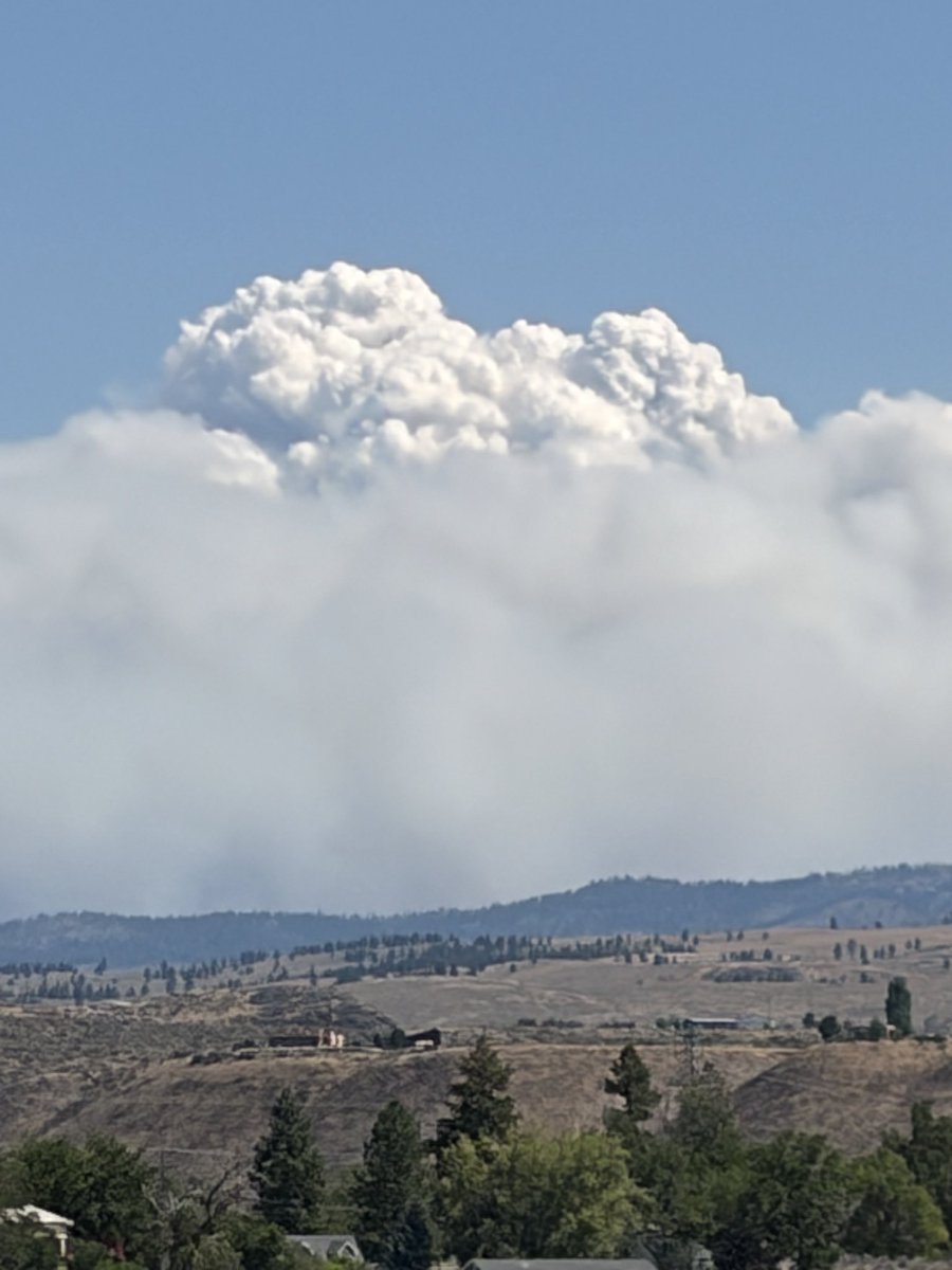 pattiz33's tweet photo. @CollinGrossWx This is the Kaiser canyon fire in north central Wa. So much devastation and loss https://t.co/pvWHyTpRN1