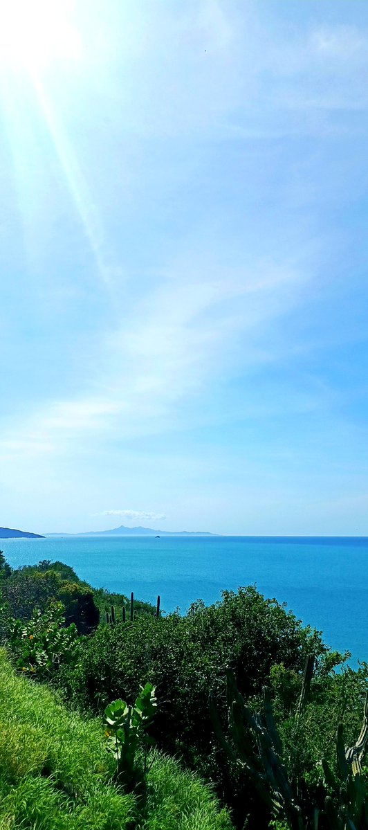 moisesandradel's tweet photo. Mirador de Costanza, avenida Simplicio Rodríguez (Manzanillo-Pedro González), Isla de Margarita, Venezuela, fotos tomadas, Gracias a DIOS, el 08/02/2025 a las 14:28 horas.
#DIOS #JESUCRISTO
#ESPIRITUSANTO
#LaBiblia
#LaPalabraSagrada
#IsladeMargarita
#Playas
#PaisajesBellos https://t.co/odYWBphtcQ