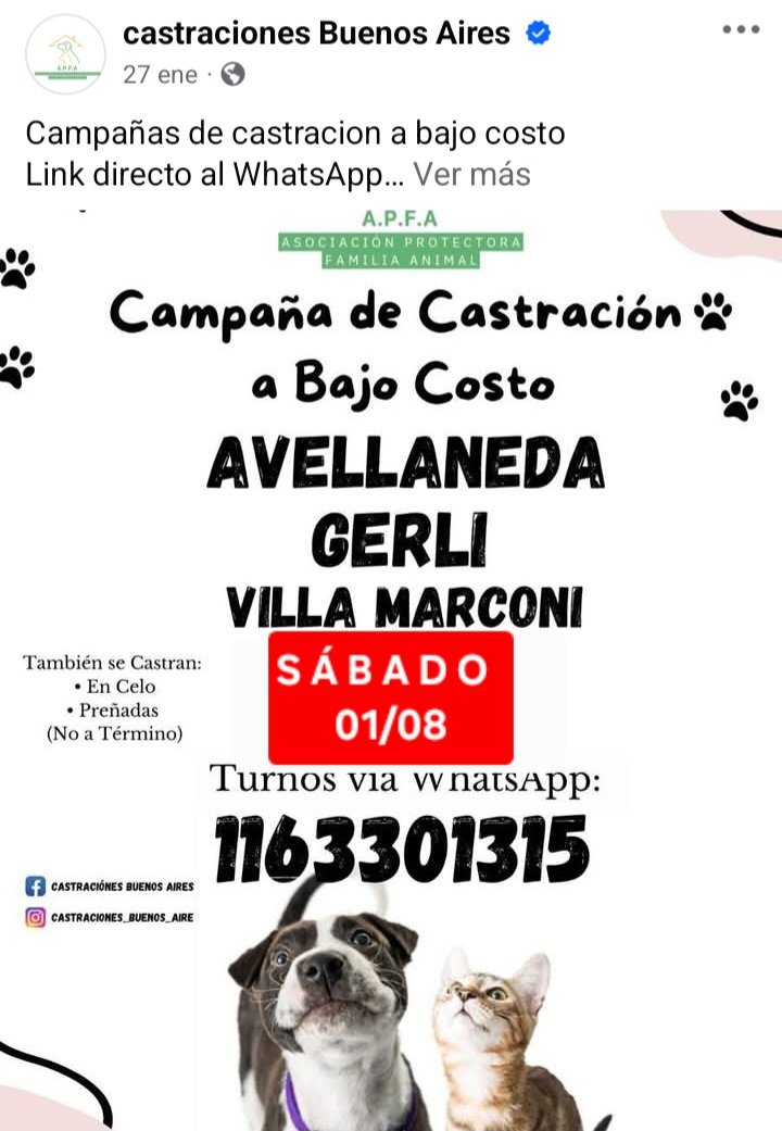 protegealanimal's tweet photo. AVELLANEDA 
#AVELLANEDA #VILLACORINA #PARQUEDELRÍO #ISLAMACIEL #DOCKSUD #CRUCECITA #SARANDÍ #PIÑEYRO #PIÑEIRO #VILLADOMÍNICO #DOMÍNICO #GERLI #VILLAMARCONI #WILDE #ZONASUR #GRANBSAS #BSAS #BUENOSAIRES #CONURBANO https://t.co/QdQiMW1UdT