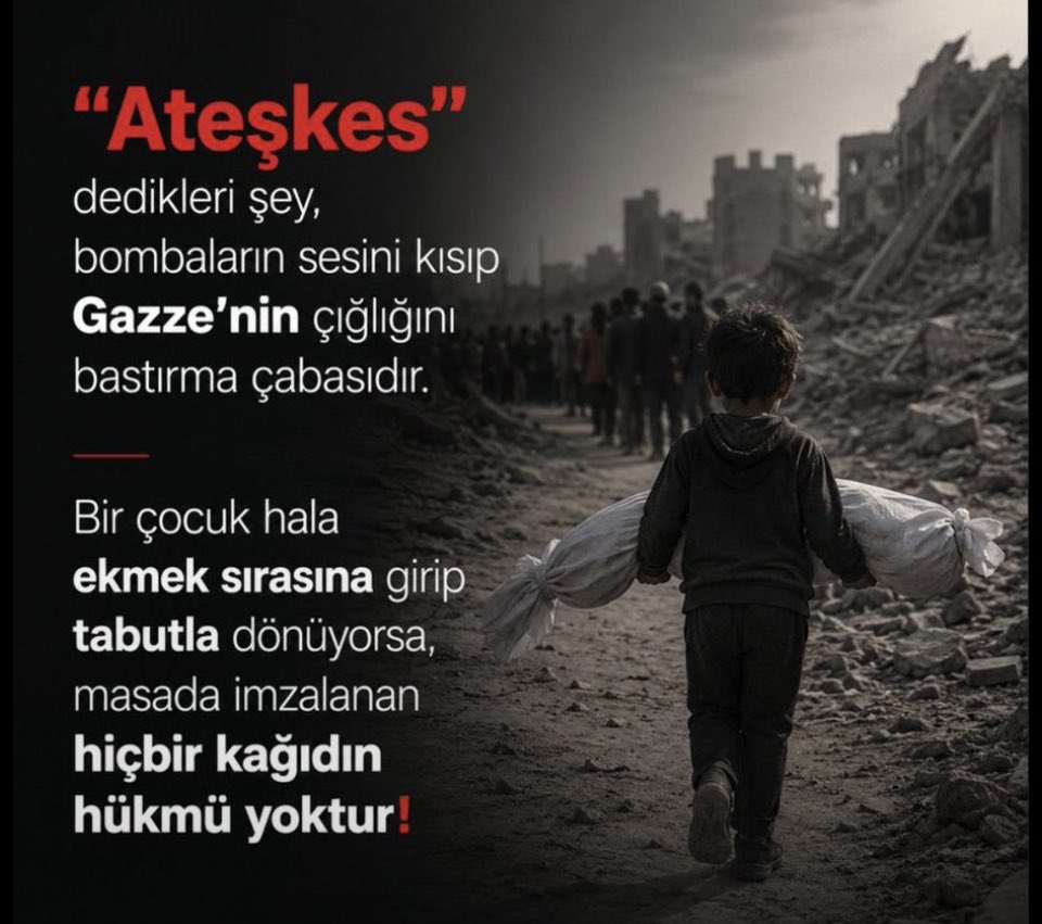 fatih demir tweet media