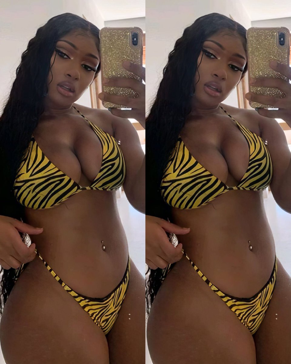 babess__s's tweet photo. Just Megan thee stallion things.🔥 https://t.co/0keqCq8a5z