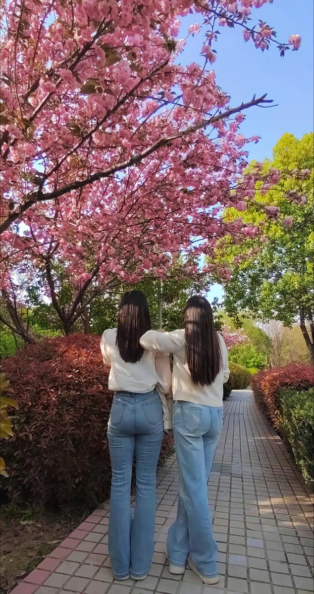 HangHuggetsofr's tweet photo. Playing "I Spy" at the park with my 5-year-old today—she spotted 3 colorful flowers and laughed so hard when she hid behind the oak tree! https://t.co/wga8GycPcW