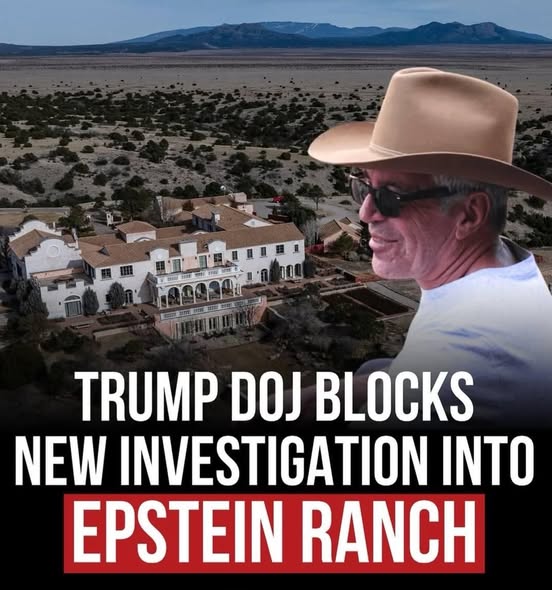 ROBERTALINDON's tweet photo. What is Trump scared of them finding??This is beyond a  child trafficking and  child rape conspiracy, it is about the murdering of children. Trump is scared and has instructed TODD Blanch NOT to hand over the unredacted files to New Mexico for their investigation! WE KNOW WHY! https://t.co/8KXnKFWlyB