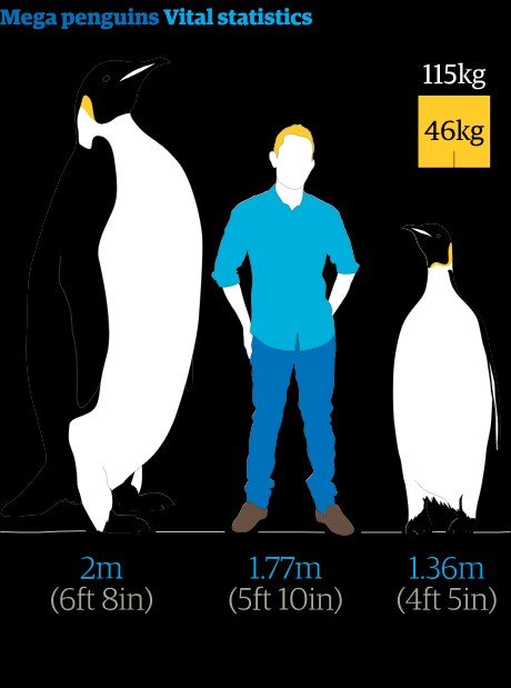 miss_worcester's tweet photo. what if there was a big penguin in my band ko queen https://t.co/4wh28pIKZo