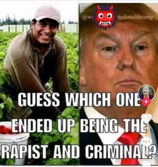 B. Thomas tweet media