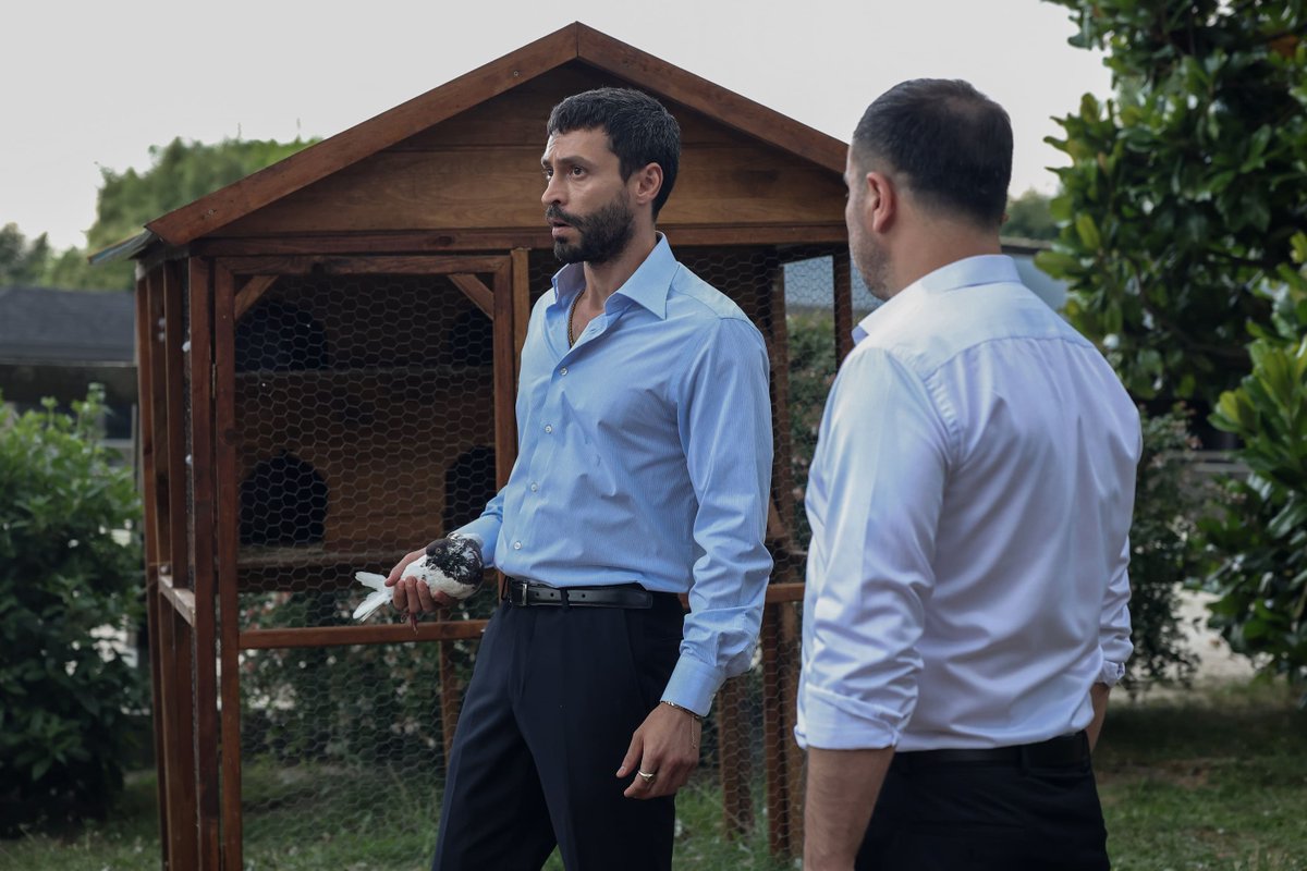 dizidunyasicom's tweet photo. “TAŞINIYORUM BEN, BİR DAHA GERİ DÖNMEYECEĞİM!”

Show TV’nin MF Yapım imzalı, Ayça Ayşin Turan, Ekin Koç ve Feyyaz Şerifoğlu’nu buluşturan "#MuhtemelAşk", yayınlanan yeni tanıtımıyla izleyiciyi aşkın geri dönülmez kararlarla sınandığı, duyguların ve heyecanın bir an olsun eksik olmayacağı sürükleyici bir maceranın içine çekiyor.

Yayınlanan tanıtımda, Kadir ayrılığın hayal kırıklığıyla baş başa kalırken, Defne ve ailesi Bursa’ya taşınma kararı alıyor. Tolga, Defne’yi bu kararından vazgeçirmeye çalışırken Defne, bir daha geri dönmeyeceğini Kadir’e haber veriyor. Defne’nin gidişine engel olmak için Kadir’in aşkı uğruna nasıl bir mücadele vereceği büyük merak uyandırıyor.

Muhtemel Aşk yeni bölümüyle Perşembe akşamı saat 20.00’de Show TV’de.