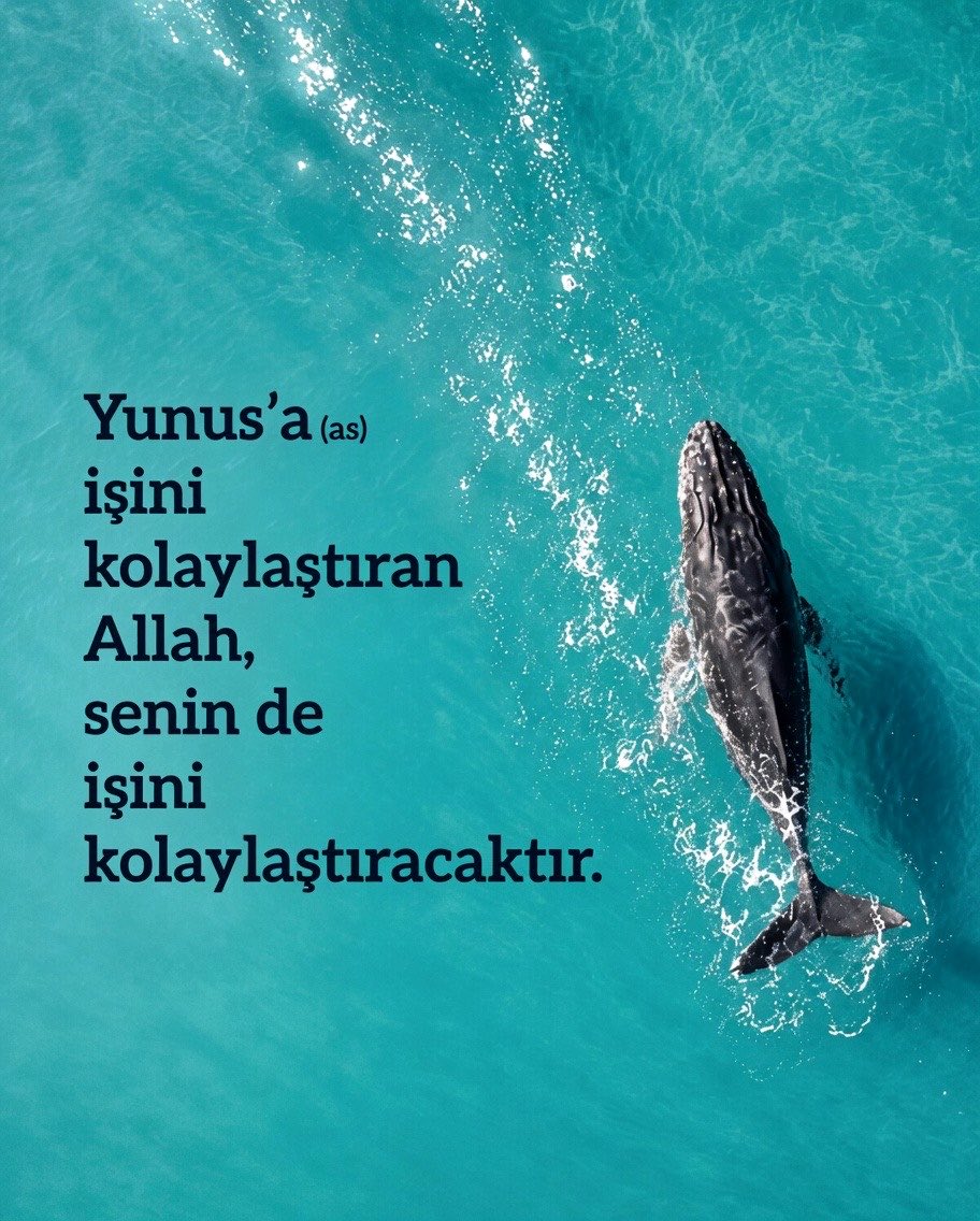 teelluhvakti's tweet photo. https://t.co/QsgHYapqrJ