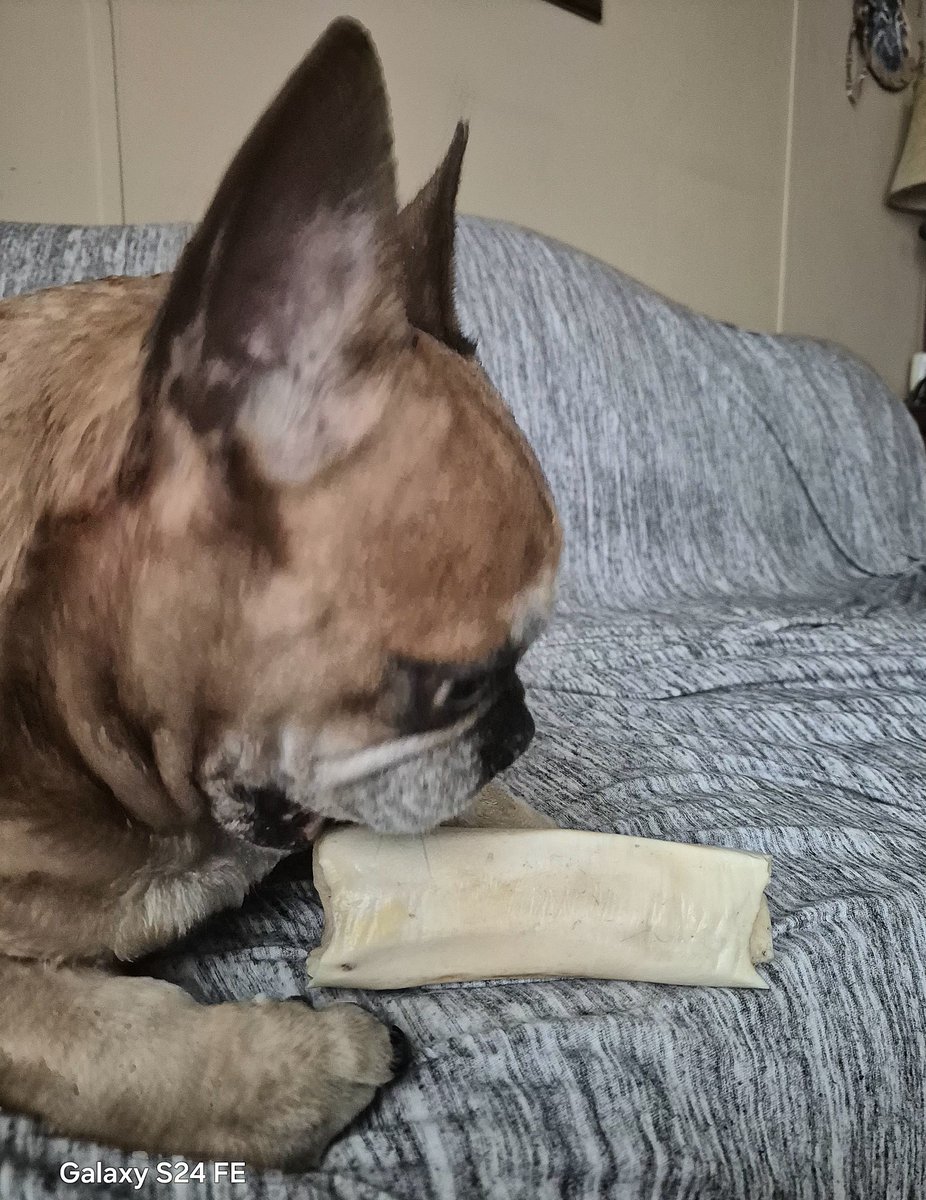 MRpetSanctuary's tweet photo. Sometimes they don't stay still for the pictures... https://t.co/5XYSMXTkGw