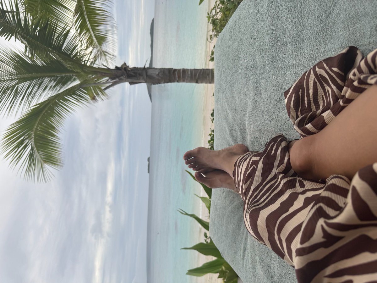 Halle Berry tweet media