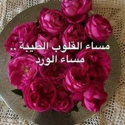 Muhammedja4994's tweet photo. @ugfcvbn https://t.co/TcNgIgcxgQ