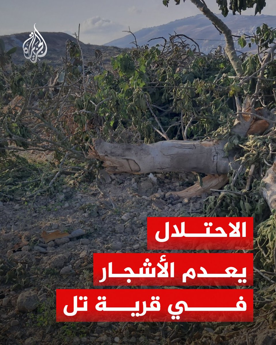 AJArabic's tweet photo. مجزرة بحق الأرض.. الاحتلال يقتلع مئات الأشجار المثمرة في قرية تل جنوبي غرب نابلس
#ألبوم https://t.co/CHOUhH8JLZ