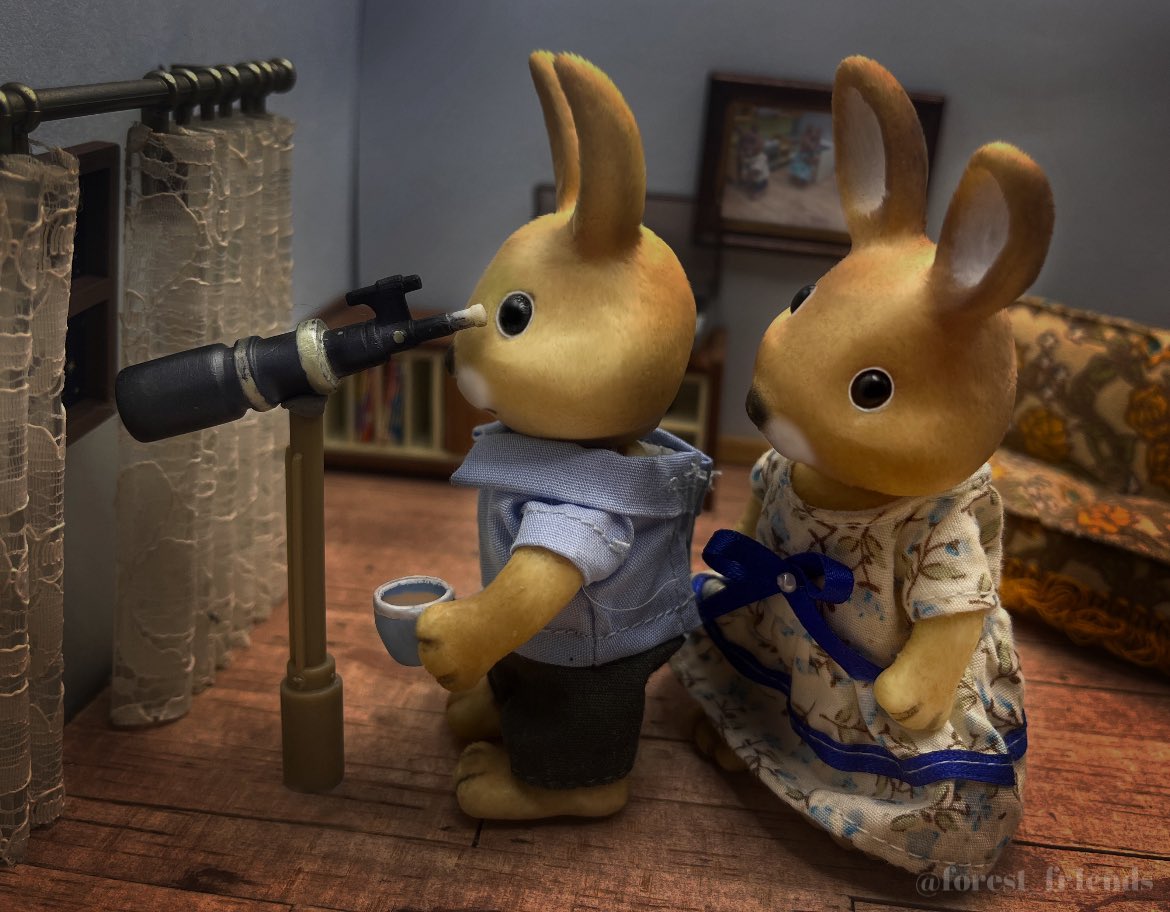 forest_fr1ends's tweet photo. - The way mrs jenkins produces ping pong balls from down there is nothing short of remarkable.
- like a f**ked up pez dispenser. 
- WOAH, and a bat!!- 2 BATS !!… AND A HALF TIME ORANGE!! https://t.co/7cMPXBMCSg