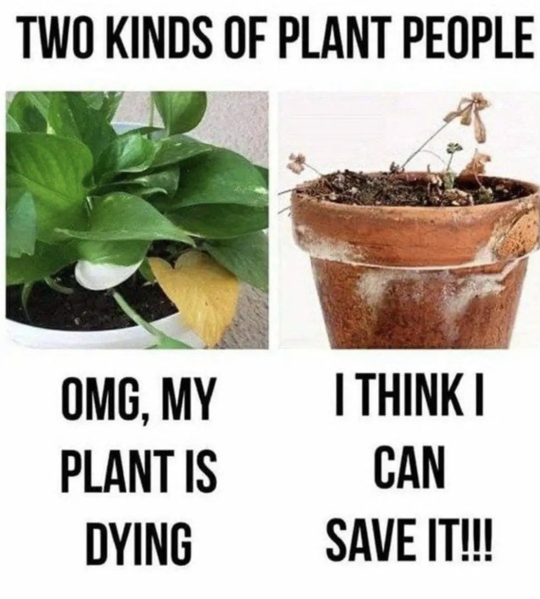 RespectfulMemes's tweet photo. https://t.co/nSr32PJYQ9