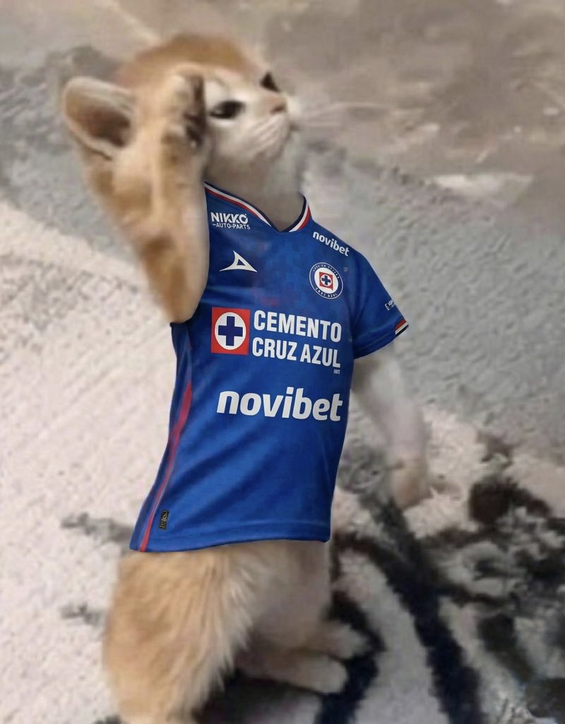 blue_libash's tweet photo. @Victor_VelRan @CruzAzul Lidel 🫡 https://t.co/XW6GK5ZLC4