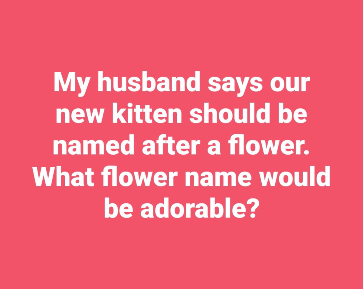Ruby tweet media