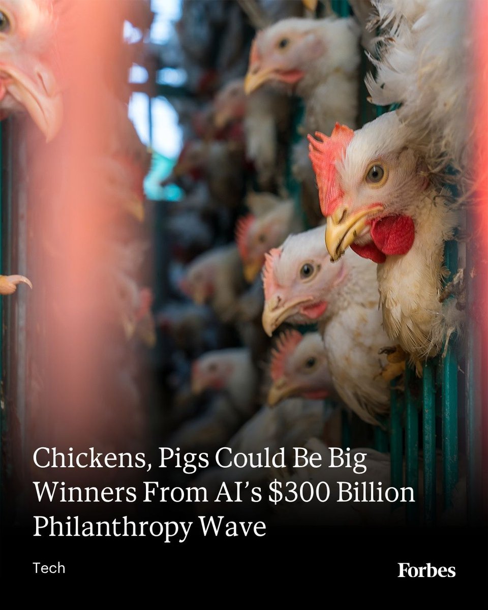 Forbes's tweet photo. An army of newly wealthy AI workers is searching for causes worthy of its money. Animal advocates think they may also be sitting on the future of philanthropy. 
Read more: https://t.co/aF9VCFgY82
Photo: Ratnakorn Piyasirisorost via Getty Images https://t.co/eree5heeqM