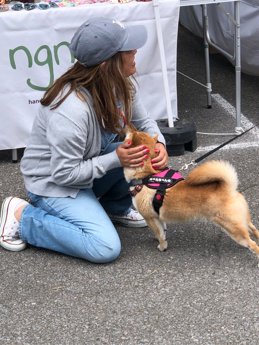 EmelyRisketu5's tweet photo. Nothing beats coming home to a wagging tail and soft purr—fur babies make every ordinary day feel warm and full! https://t.co/14SarKfvLh