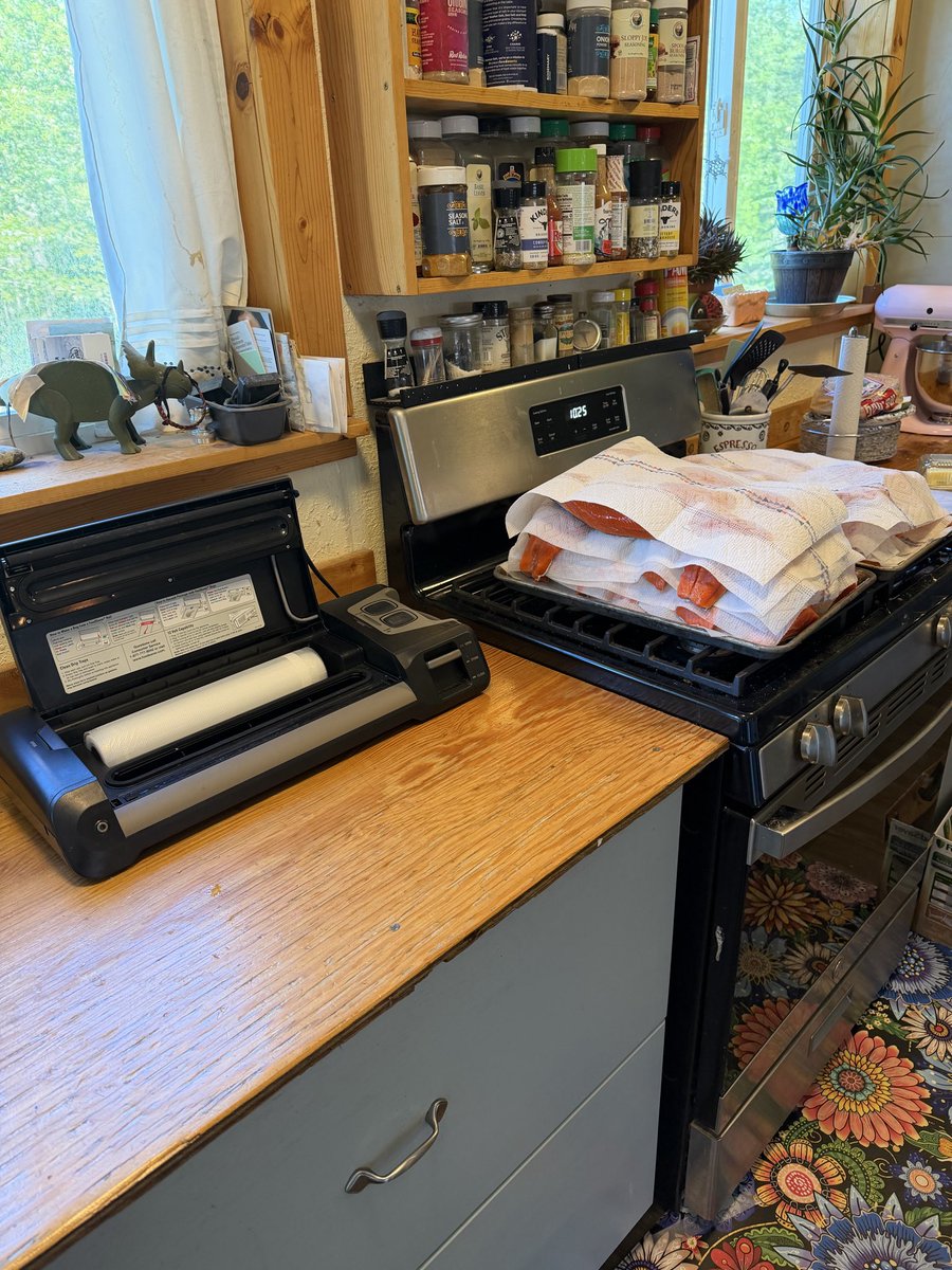 gomer2323's tweet photo. Last night they got a bakers dozen. #HowDoYouAlaska They have flipped 26 Kenai River salmon so far. I told him no more than another half dozen. https://t.co/nEbLvxec98