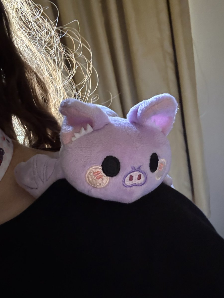 HayamiKurayami's tweet photo. Last day of OffKai!! I brought the Scufflings with me today! https://t.co/MpAQB0m3zn