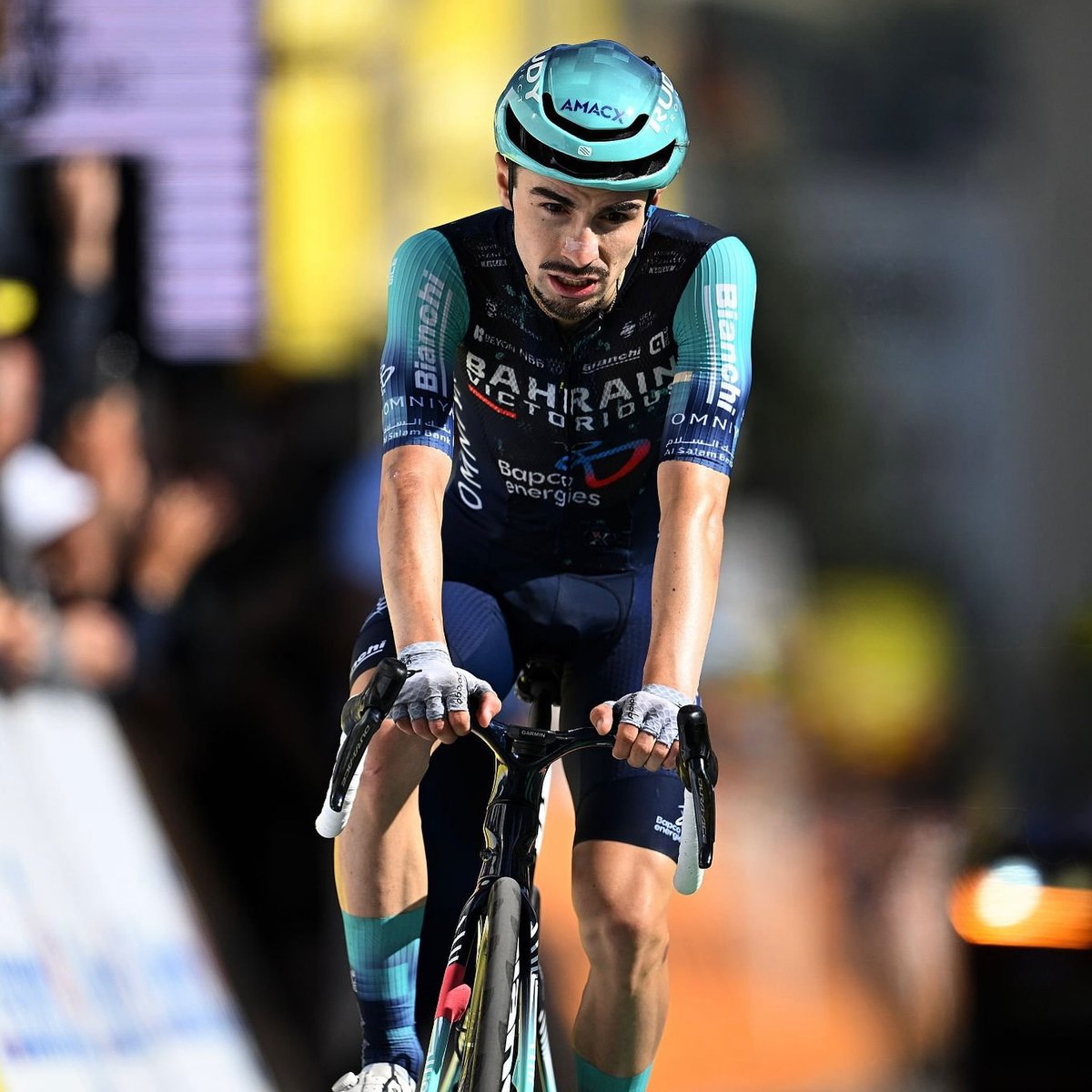 LeCyclismeFRA's tweet photo. 🤯 𝗟𝗘𝗡𝗡𝗬 𝗠𝗔𝗥𝗧𝗜𝗡𝗘𝗭 🇫🇷 𝗧𝗘𝗥𝗠𝗜𝗡𝗘 𝗟𝗘 𝗧𝗢𝗨𝗥 𝗗𝗘 𝗙𝗥𝗔𝗡𝗖𝗘 𝗔 𝗟𝗔 𝟱𝗘 𝗣𝗟𝗔𝗖𝗘 🌟✨🔥

💫 QUELLE PERFORMANCE DE NOTRE JEUNE FRANCAIS 🇫🇷 QUI NE VISAIT MEME PAS LE GENERAL ❤️

💪 BRAVO LENNY 💙🤍❤️ https://t.co/PxwxKA2Kfw