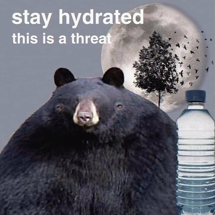 meme.jpg tweet media