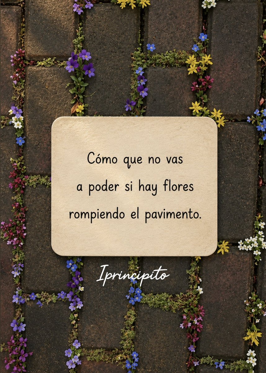 iPrincipito's tweet photo. ✨📩 https://t.co/YJPDbvamJt