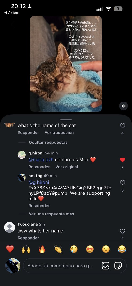 Naimkmm's tweet photo. @Memerz4E Yesss the real name is milo 
Proof of the ig post here https://t.co/NLFjdvB5i4