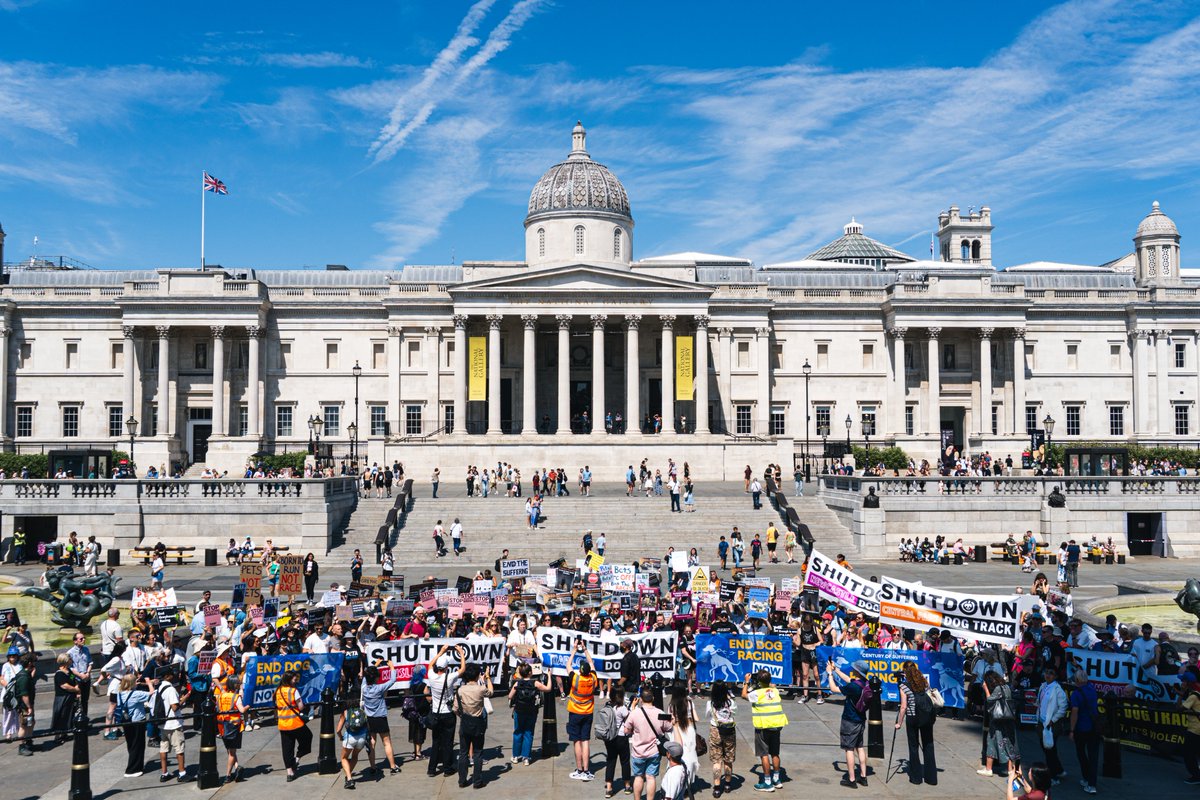AnimalAid's tweet photo. Yesterday, we marched through London for every greyhound exploited by the racing industry.  

Thank you to everyone who joined us and made your voice heard. 🤍  

Together, we'll keep fighting until greyhound racing is history. https://t.co/zSsw7M7s1Q