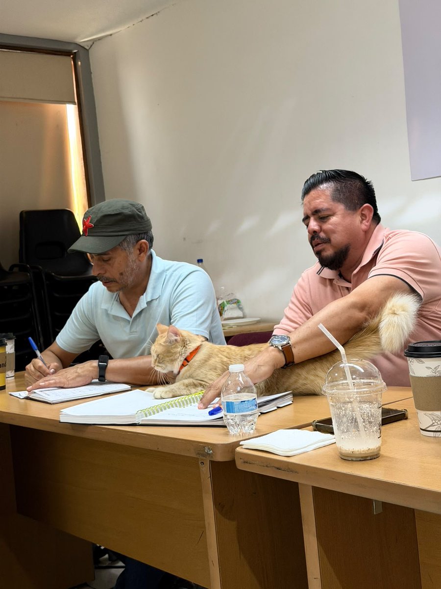 RobertoPantojaA's tweet photo. Reunión del equipo de #Bienestar #Michoacán (¡con Galleta 🐱!) listos para una semana intensa: registro de Vivienda para el Bienestar (#CONAVI) en #Huandacareo, #Huiramba, #Pátzcuaro, #Peribán y #Tacámbaro, además del inicio de Asambleas de #LaClínicaEsNuestra 😎🏠👨👩👧 https://t.co/ta6YvpLNkt