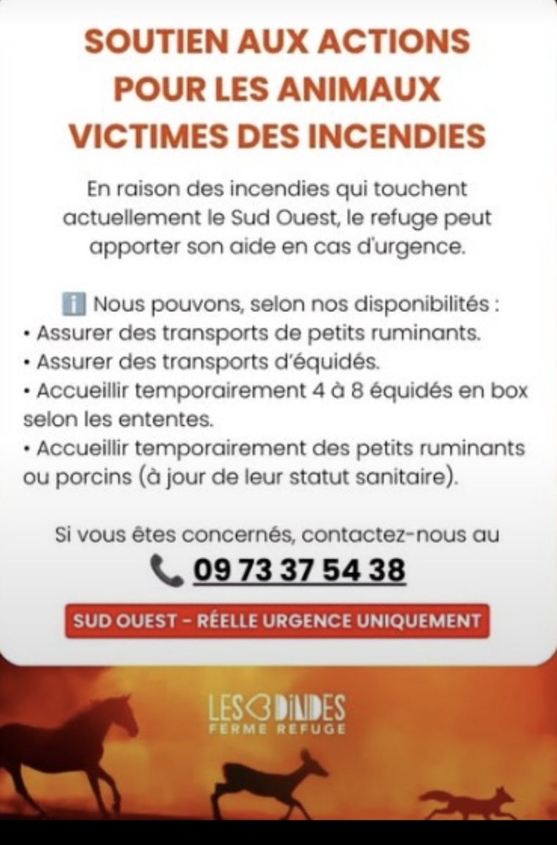 MAROBA3807's tweet photo. @MissingTarn81 🚨🚨🚨🚨🚨🚨🚨🚨🚨🚨🚨
LES 3 DINDES, FERME-REFUGE 
MERCI DE PTG https://t.co/PJ3uLOYRDq