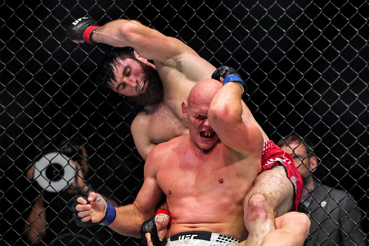 WeeklyMMA_X's tweet photo. 🚨Bogdan Guskov Hints at a Magomed Ankalaev Rematch

Guskov says “we’ll meet again” after his loss to Ankalaev at UFC Abu Dhabi. https://t.co/EFNk4vqZZ3