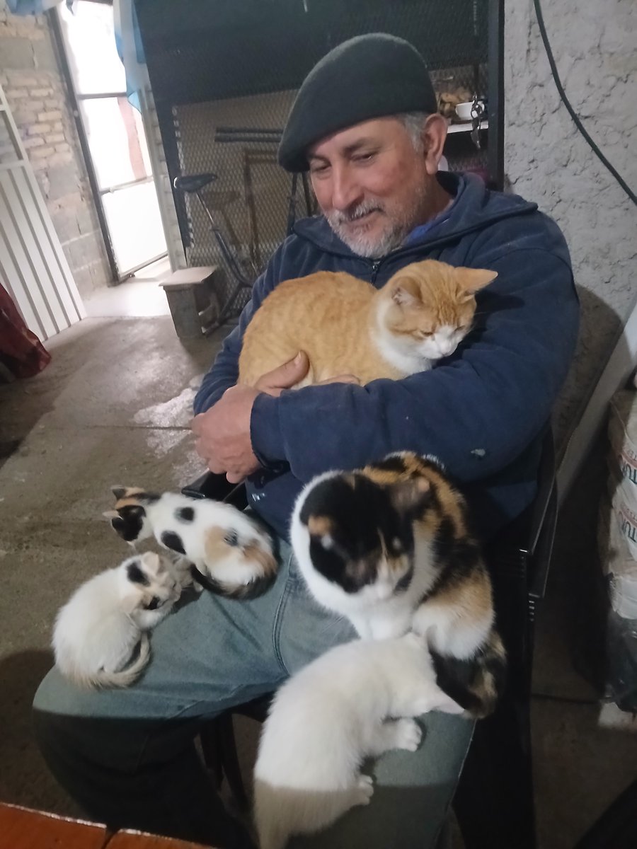 camn0nzaka's tweet photo. Mi vieja: si traes 1 gato más los vecinos nos van a empezar a decir los locos de los gatos
Mi viejo: uno mas no hace daño https://t.co/lLkr2T2nDz