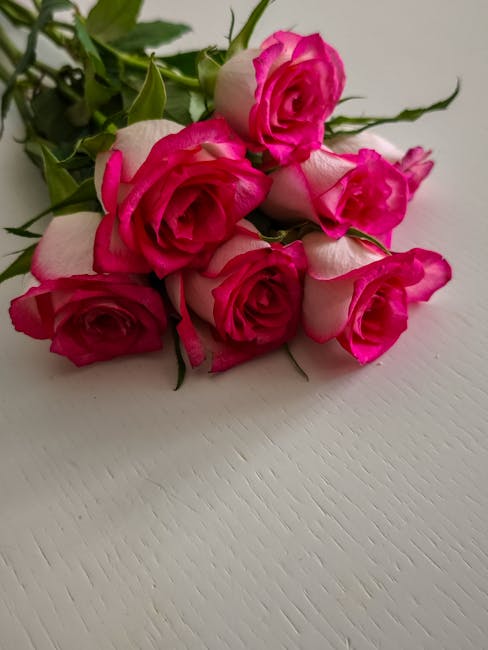 NeidaFlemmon's tweet photo. نصيحتك هي شكرًا الذهب. حياتك بالحظ. لك. أتمنى أن تكون مليئة karleen ruis🚚 https://t.co/hcu694b5rq
