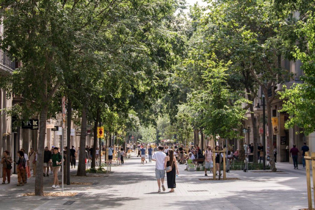 SergiMaranya's tweet photo. 🤔 Carrers «pacificats», barcelonins expulsats.

Ada Colau va vendre Consell de Cent com una «pacificació» per als veïns. El resultat: lloguers comercials encarits un 96%, habitatges amb preus que freguen el doble de la mitjana de Barcelona, queixes per soroll, brutícia i incivisme i un augment de la pressió viària als carrers del voltant.

No és ecologisme: és urbanisme ideològic que ha convertit un carrer de barri en un aparador per a marques, turistes i persones amb rendes altes i que només ha servit per expulsar els barcelonins de tota la vida.

Qui vulgui una ciutat sense vehicles, que marxi a viure a una casa aïllada a l’alta muntanya, que esperi als cotxes voladors o que tingui paciència fins que tinguem un transport públic en què no siguem tractats com porcs dins d’un camió camí de l’escorxador.