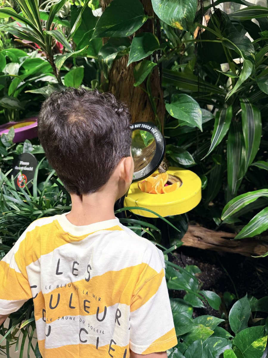 Aztmyy_3's tweet photo. 🦕 🦋 🐘 🐋 https://t.co/WnIHoPx5Bg