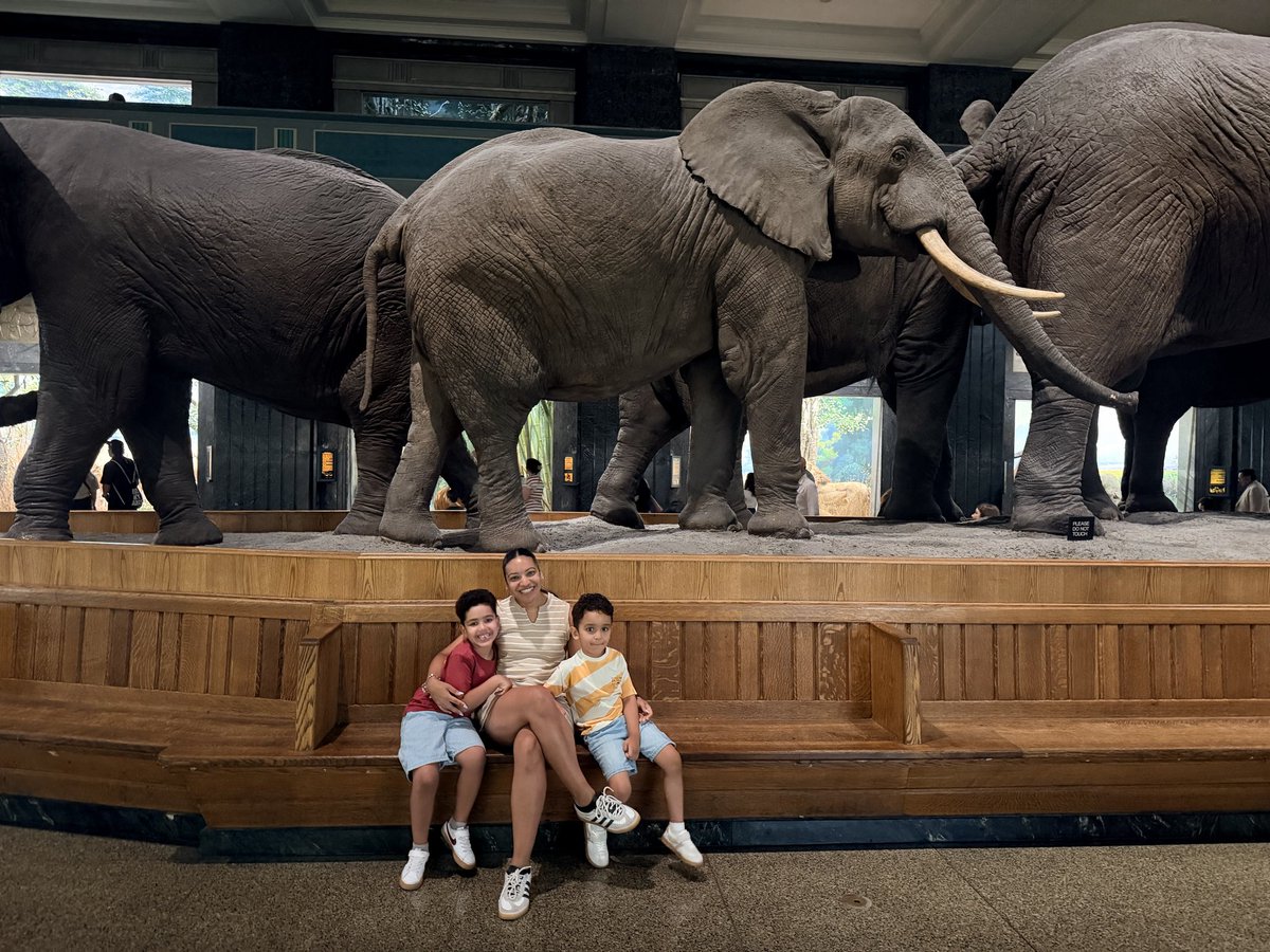Aztmyy_3's tweet photo. 🦕 🦋 🐘 🐋 https://t.co/WnIHoPx5Bg