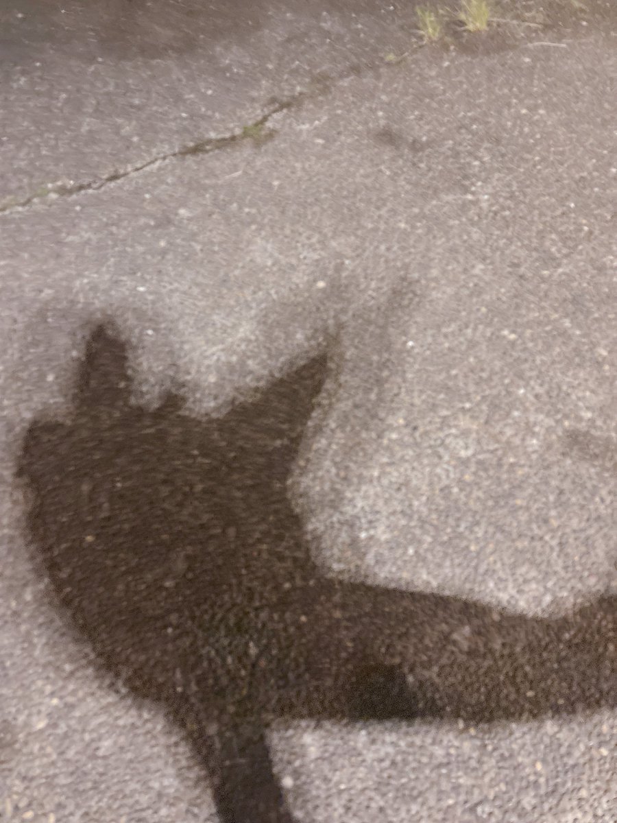Kabe_033's tweet photo. ちなみにバカみたいな歩き方してたら倒れそうに？転びそうに？なった時に撮れてたもの。
なにこれ https://t.co/xFyWuc7XnE