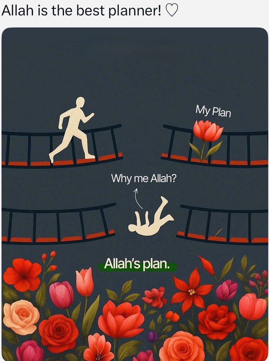 SR_Safeer's tweet photo. https://t.co/cvQplNFxZ0