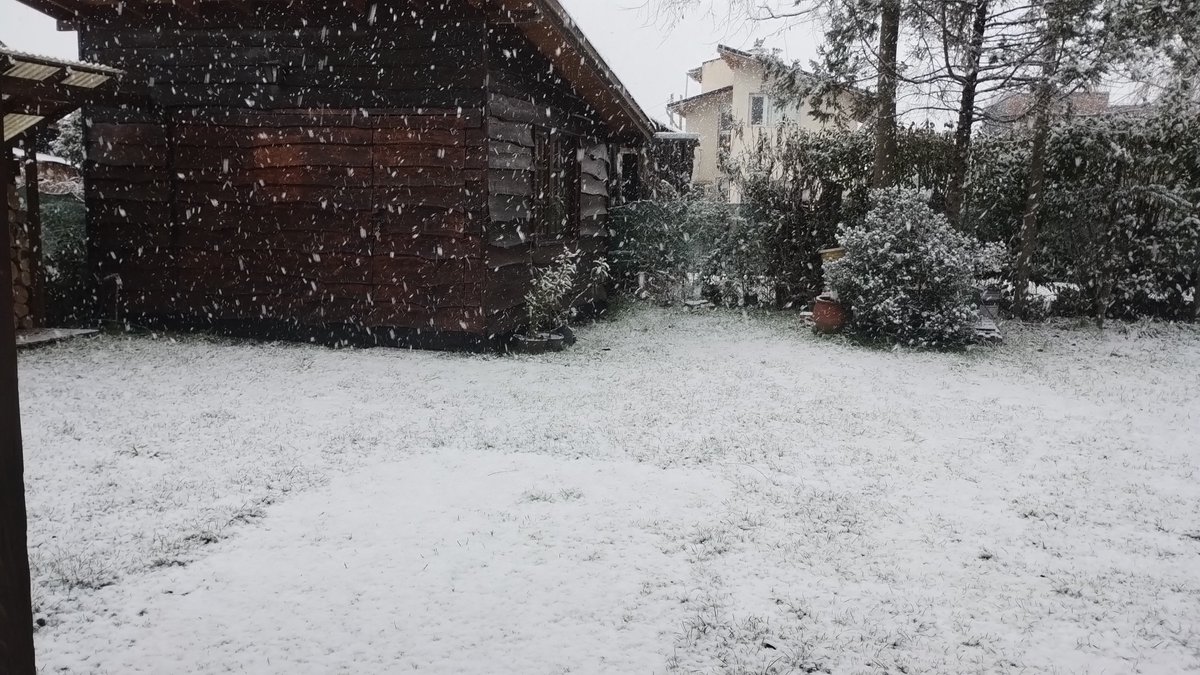 gabidebolson's tweet photo. Nieve en El Bolsón https://t.co/l7MYn12ZzS