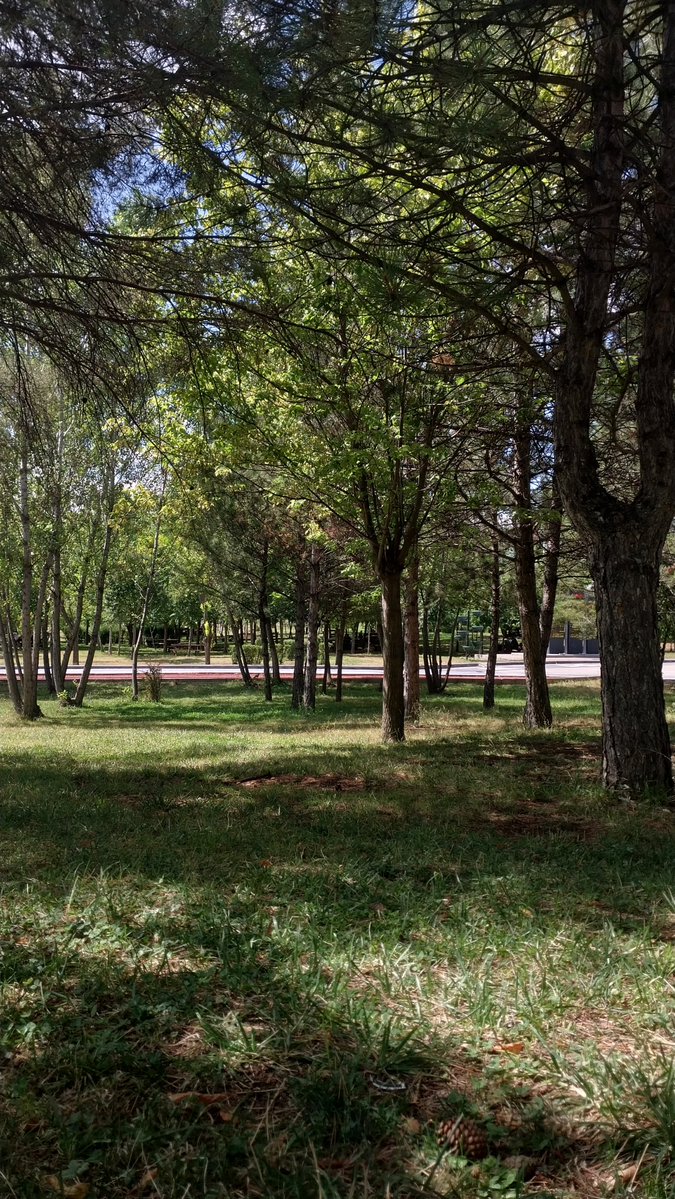 Ithinkserife's tweet photo. ankaram ve güzel parklari🩷

bu günkü durağımız 30 Ağustos Zafer parkiydi https://t.co/xU920uUOSQ
